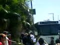pelones 2008 ito 4