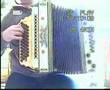 Steirische Harmonika - In Leit'n Toni seina