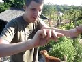 Uri geller parody