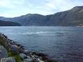 videos de Ferry