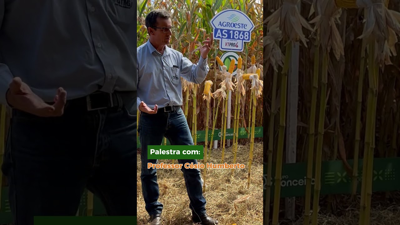 Tour Exclusivo pelo portfólio da Conceito Agrícola