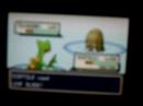 Pokemon Leafgreen elite 4 1