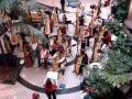 videos de AHS 11th Annual Christmas Harp Extravaganza  Santa Anita Westfield Mall, CA 12-13-08--3