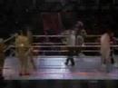 shawn michaels