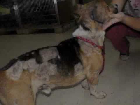 how to treat oozing wounds