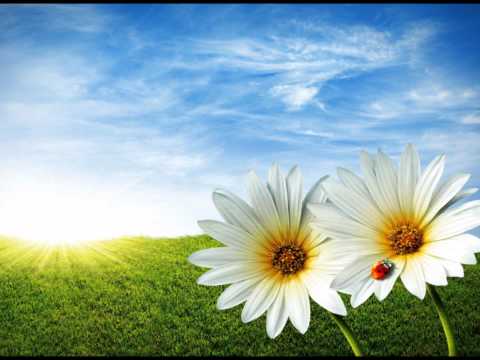 movie broken  heart  .........