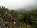 Johann Wolfgang von Goethe: ERLK�NIG
