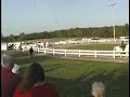 jazz and dazzle 2009