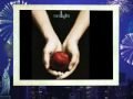 The TWILIGHT Saga
