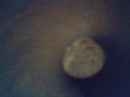 Quarter in my Bellybutton