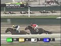 Horse racing gone wrong for commentator - really funny