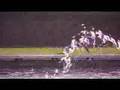 Red Bull Winch Hunt: wakeboarding in the heart of the city