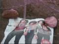 Pissin on the Jonas brothers