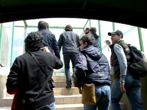Entrada al campo de juego del Renzo Barbera