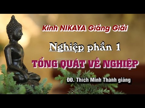 Kinh NIKAYA Giảng Giải – NGHIỆP 1 – Tổng Quát về NGHIỆP Kinh NIKAYA Giảng Giải – NGHIỆP 1 – Tổng Quát về NGHIỆP