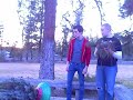 -Tree-?