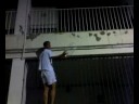 Monteflor7