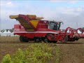 Potato Europe Tournai (kain) Potato Europe Tournai (kain)