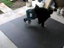 Me Breakdancing (Footwork) Me Breakdancing (Footwork)