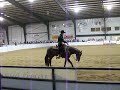Robin Schoeller The Tradition Futurity 2008