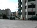 Nosepick Tailwhip + Bunny Crankflip