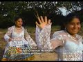 gemelas del amor