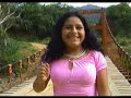 gemelas del amor