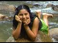 gemelas del amor