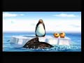 Penguins Penguins