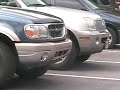 Birdy Bumper Buggy Biter Birdy Bumper Buggy Biter