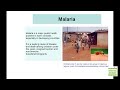 Malaria - What is it? Where does it happen? What causes it?