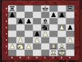 Chessworld.net presents: Chess Boxing, Part 2 of 2
