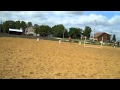 Shawnee and Koda's 1st Horse show