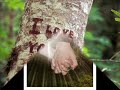 ouz-boranseni-seviyorum.html