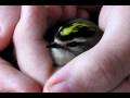 'PERMEATED' - Advanced Spirituality with unASLEEP