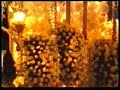 Huelva con su Esperanza. Medalla de la Ciudad (Video II) Huelva con su Esperanza. Medalla de la Ciudad (Video II)