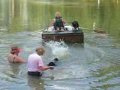 Portuguese Water Dog Puppies at 14 weeks