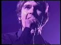 the bluetones-Cut Some Rug (live) the bluetones-Cut Some Rug (live)