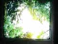 Halo 3 Plasma Greande Trick PLEASE COMMENT Halo 3 Plasma Greande Trick PLEASE COMMENT