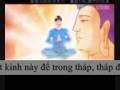 videos de Kinh Toan Than Xa Loi Bao Khiep An Da La Ni - Dharani Seal Sutra