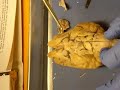 Professor Narrated: Cranial Nerves of Sheep\ Professor Narrated: Cranial Nerves of Sheep\
