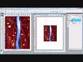 Whitespider Tutorial Series - Image Interpolation