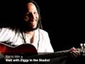 Visit Ziggy Marley in the Studio | Charity Auction * Auction Closed * :-(
