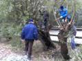 videos de natuurwerkdag2008
