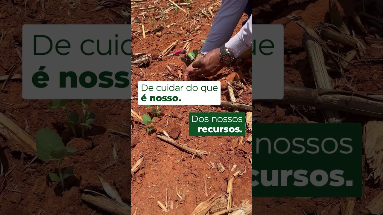 Dia Mundial da Terra