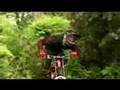 Porc downhill