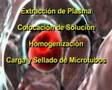 Multimedia en la Enseñanza de Biofisica