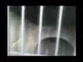 Aitolia mistic ancient Kalydon\"Tomb of the Lions\"