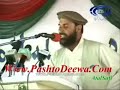 Naranj Gul  Shin Laghman