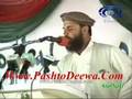 Naranj Gul Shin Laghman